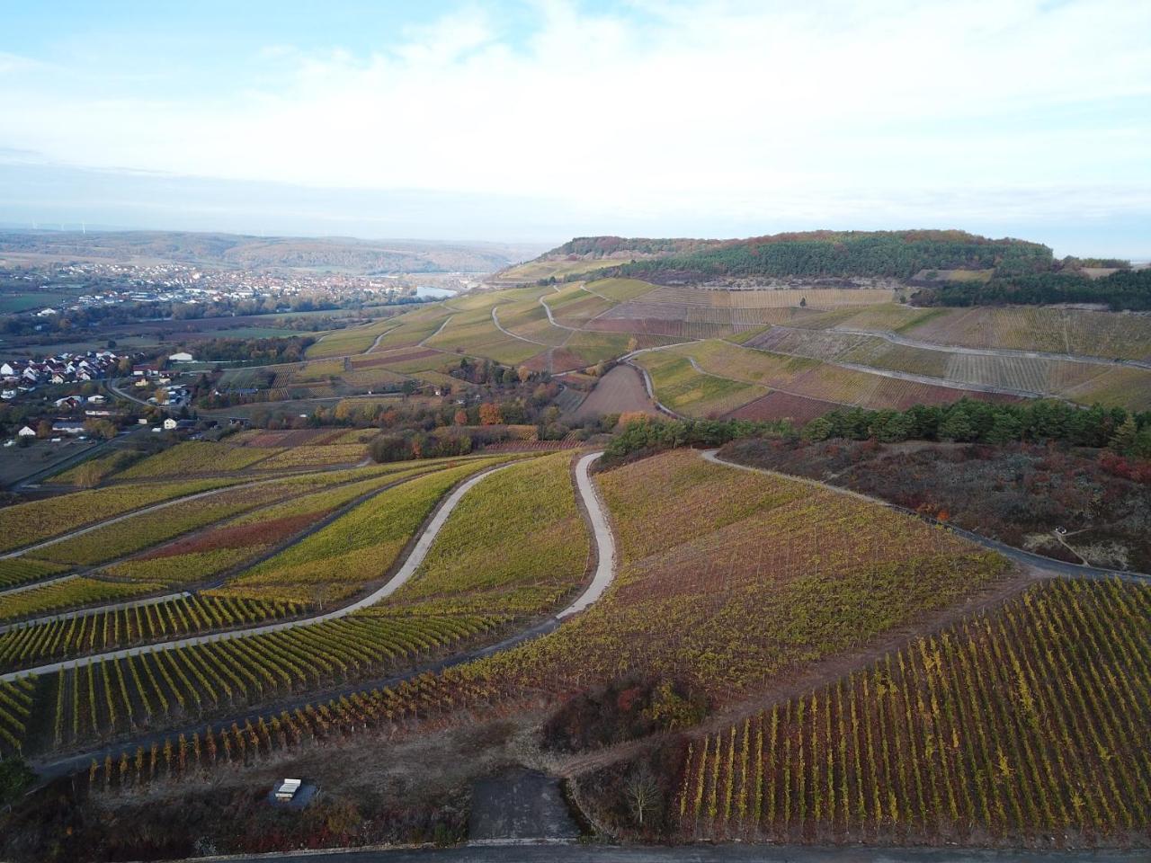 Pension Weingut Schwab Thüngersheim Buitenkant foto